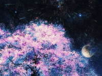 qq头像女生星空樱花,展现独特魅力与浪漫气息”