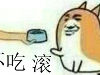 你最喜欢吃娱乐圈的瓜吗,揭秘明星们的甜蜜与苦涩