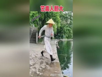 艺高人胆大下一句是啥,勇攀高峰的秘诀