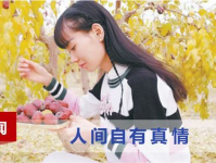 娱乐吃瓜酱感人故事大全,安欣与高启强的感人羁绊