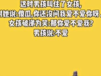 搞笑短视频素材库,海量资源，轻松打造爆笑内容
