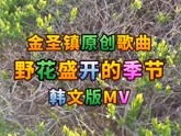 野花韩国视频在线观看免费高清,野花韩国视频在线观看之旅