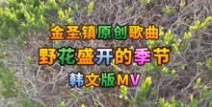 野花韩国视频在线观看免费高清,野花韩国视频在线观看之旅