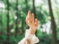 祝福女人最经典句子,经典语句汇编”