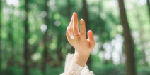 祝福女人最经典句子,经典语句汇编”