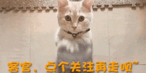 偷税、、离婚个个大瓜！内娱冷了一个月的场子终于热起来了2024年娱乐圈吃瓜爆料吗